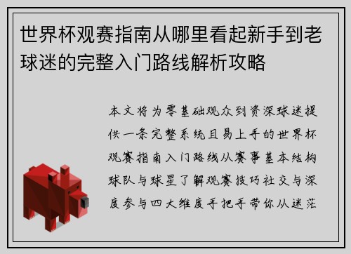 世界杯观赛指南从哪里看起新手到老球迷的完整入门路线解析攻略